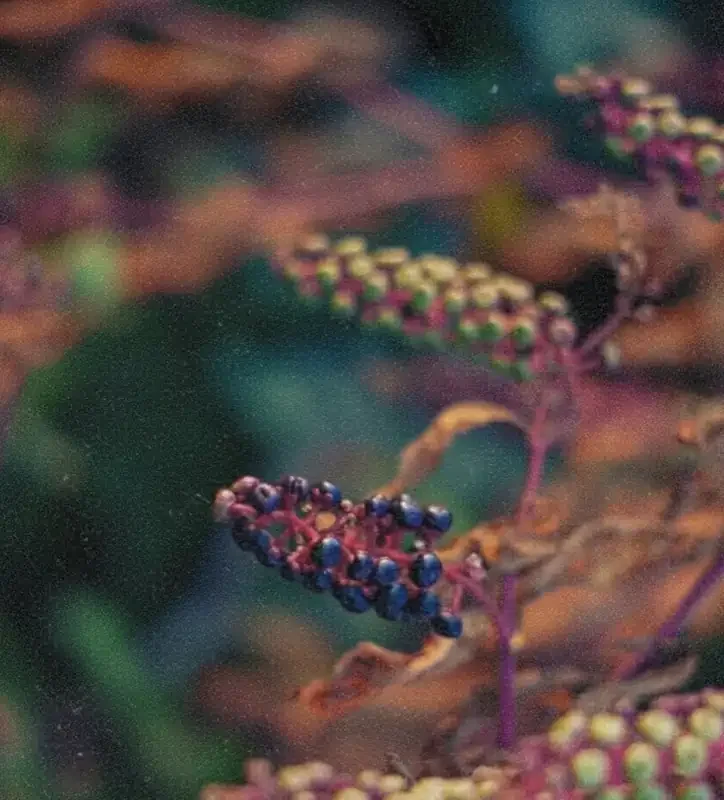 Reporting that matches your pace